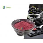 Hot Selling Wholesale Price Mulberry Fruit Juice Powder Mulberry Fruit Extract Powder for sale