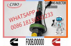 China COMMON RAIL FUEL INJECTOR 2867147 F00BJ00001 F00BJ00000 0986435900 supplier