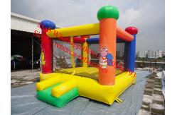 China inflatable bouncer castle inflatable bouncer slide supplier