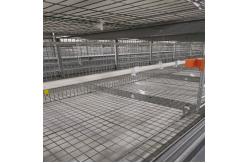 China Big Size 85*62.5*50 Cm Broiler Chicken Cage Baby Chick Used supplier