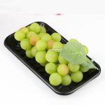 HLD-470 PP plastic fast food tray container machinery for sale