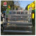 Long Time Use A Type Farm Chicken Battery Cages For Layers for sale