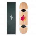 Streer Skate Full Complete Skateboards