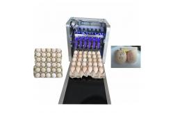 China 600DPI Egg Date Stamp Machine / Inkjet Marking Machine With High Performance supplier