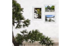 China High Simulation Landscape Plastic Pine Tree 150cm Restaurant Ornaments supplier