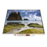 LTN150PG-L02 LCD Screen 15.0 inch LCD display TFT Module for sale