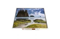 China LTN150PG-L02 LCD Screen 15.0 inch LCD display TFT Module supplier