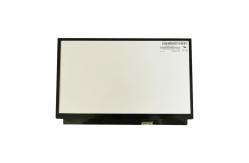 China HSD100IFW3-A00 10.1 inch LCD Screen Display Panel for Netbook PC supplier