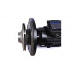 Cast Iron Water Circulation Pump For Spa Pool Equipment Easy Installation for sale