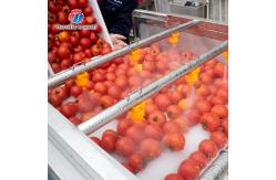 China 2.5KW Vegetable Parallel Roller Cleaning Machine High Pressure Spray Fruit Washing Machine supplier