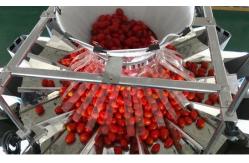China Plastic Tray Multihead Weigher Packing Machine Automatic Filling supplier