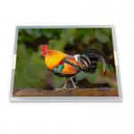 M150XN07 V2 M150XN07 V.2 tft lcd panel 15 Antiglare 1024*768  CCFL 60Hz 20 pins TFT LCD display for sale