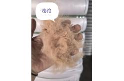 China Recycled Polyester Staple Fiber 3D 51mm UV Resistant supplier