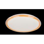 Replaceable Ceiling Mounted LED Lights Adjustable Indoor 40W High Brightness
