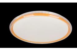 China Replaceable Ceiling Mounted LED Lights Adjustable Indoor 40W High Brightness supplier