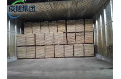 China Customized Industrial Building Wood Drying Kiln Multi Zone Temperature Control OEM Support supplier