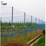 HDPE Heavy Duty Bird Netting Reusable Anti Bird Net For Agriculture for sale