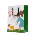 Printed Luxury Paper Cookie Bags 350gsm 450gsm Shoe Paper Bag for sale