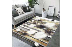 China 160*250cm Rectangle Living Room Floor Carpets By 3D Printed Feather Pattern supplier