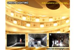 China Anti explsoive 1500 lum Flexible LED Strip Waterproof 60pcs led each meter supplier