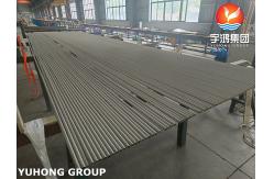 China Stainless Steel Seamless 310H Tubes ASME SA213 for HRSG Applications supplier