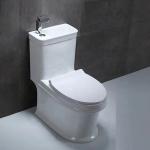 Ceramic Bathroom Toilet Bowl , 700x385x745mm One Piece Toilet Sink Combo for sale