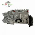 Fuel Injection Pump 101605-810A 400912-00069 for DB58 Engine