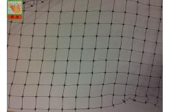 China Plastic Netting For Insulation Support , Polypropylene Netting Insulation Mesh supplier