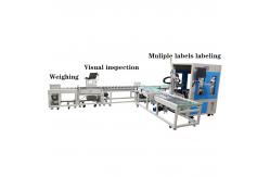 China Upgrade Your Labeling Process with 220V Flat Paging Machine and Visual Camera Testing supplier
