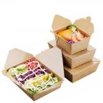 ODM Disposable Food Packaging Box 800ml Biodegradable Fast Food Packaging Box for sale