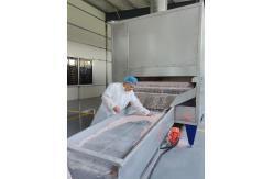 China Cat Litter manufacturer