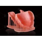 CAD/CAM Digital Removable Partial Dentures Deep Pink Computer Printed Dentures for sale
