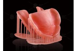 China CAD/CAM Digital Removable Partial Dentures Deep Pink Computer Printed Dentures supplier
