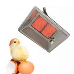 Galvanized Plate Poultry Brooder Heater NG Biogas Propane Chicken Coop Heater for sale