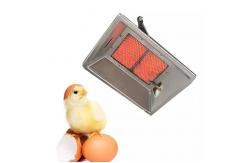China Galvanized Plate Poultry Brooder Heater NG Biogas Propane Chicken Coop Heater supplier