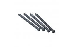 China 4.0mm Orthopedic Locking Screw supplier