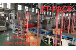 China Servo Carton Packing Machine supplier