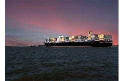 China China To US Amazon FBA LCL Sea Freight , LCL Freight Forwarder supplier