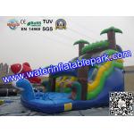 Bounce House Charming Inflatable Slide , Kids Inflatable Water Slides Pool
