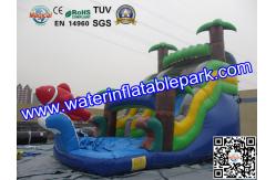 China Bounce House Charming Inflatable Slide , Kids Inflatable Water Slides Pool supplier