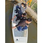 Boat Rotomolding Mould / Plastic Rotational Moulding Environmentally Protect