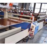PVC WPC Hollow Door Board Wood Plastic Composite Extrusion Line / Production Line Double Screw for sale