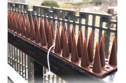 China Animol Control 24 Holes Anti Bird Perch , Anti Pigeon Fence Spikes supplier