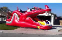 China Dragon Water slide supplier