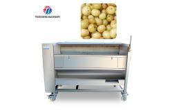 China Root Veg 1.5KW Commercial Potato Washer ,  Kiwifruit Lotus Root Potato Peeler Machine supplier