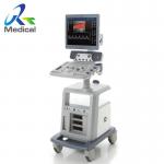 GE Logiq P6 Diagnostic Ultrasound Systems Repair for sale