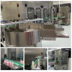 Stable Performance Bottle Filling Line / Shampoo Filling Machine Line