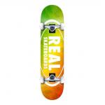 Island Real Oval Complete Skateboard Anti Rust 7.75 X 31.6