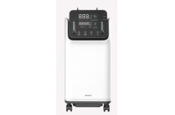 China Natural Medical Oxygen Concentrator Machines For Home 10L 220v supplier