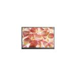 E080AWP4 R1 8.0 inch 800*480 TFT-LCD Display Screen for sale